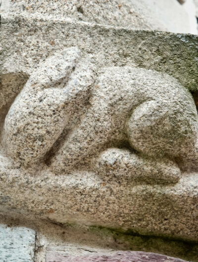 details-archi-animaux-destination-jm-8-jpg-800px-3168