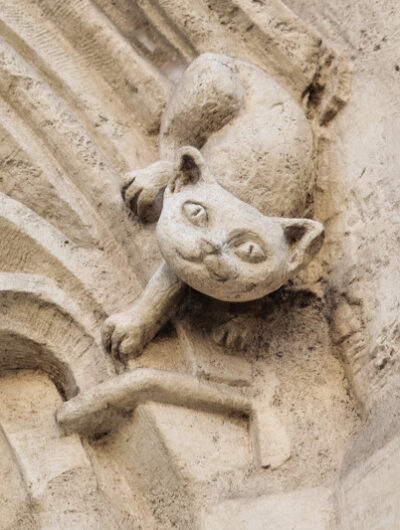 details-archi-animaux-destination-jm-1-jpg-800px-3163-9567.jpg