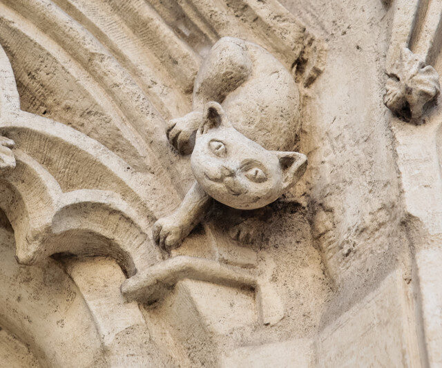 details-archi-animaux-destination-jm-1-jpg-800px-3163-9567.jpg