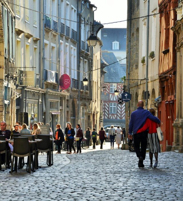 centre-historique-franck-hamon-22355-1600px-30489