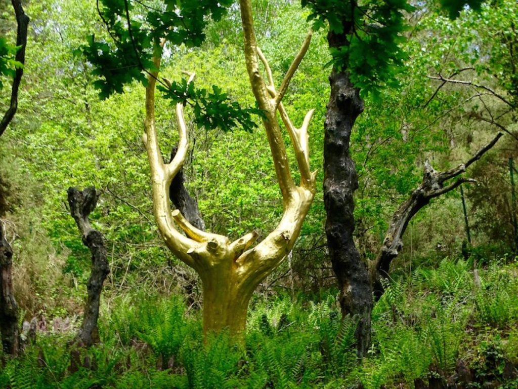 playingtheworld-week-end-bretagne-broceliande-menhirs-monteneuf-32985